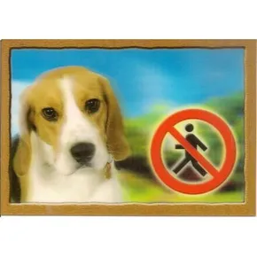 3D-Erkennungsmarke, Beagle